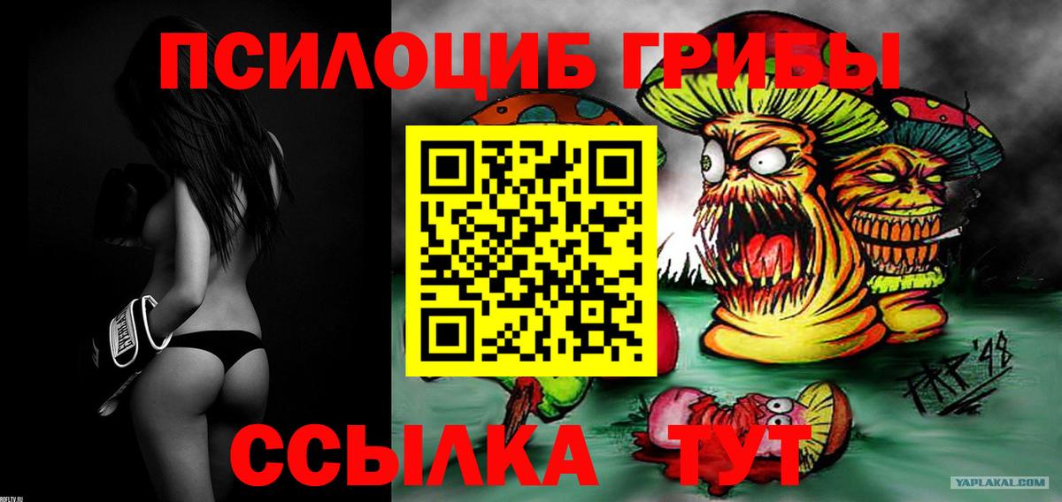 Галлюциногенные грибы Psilocybine cubensis  Псилоцибиновые грибы MAGIC MUSHROOMS  Людиново  Вход с VPN 