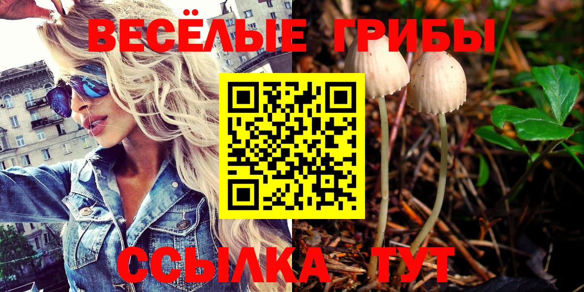 Галлюциногенные грибы MAGIC MUSHROOMS Людиново